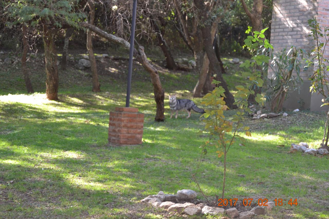 Cabañas del Bosque Villa Merlo Exterior foto
